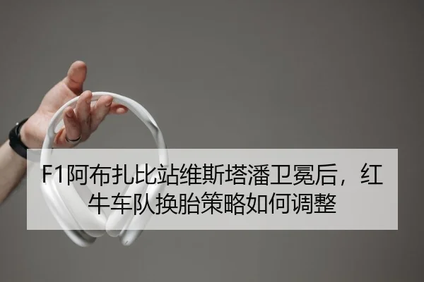 F1阿布扎比站维斯塔潘卫冕后，红牛车队换胎策略如何调整