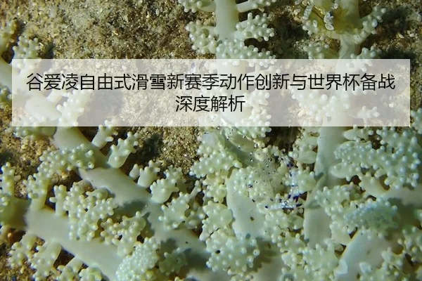 谷爱凌自由式滑雪新赛季动作创新与世界杯备战深度解析