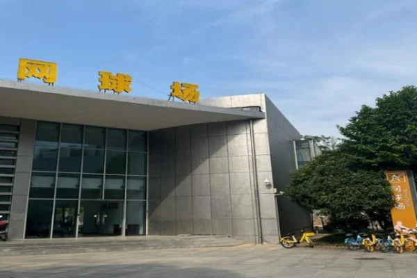 德约科维奇出战ATP年终总决赛与辛纳争冠前景分析